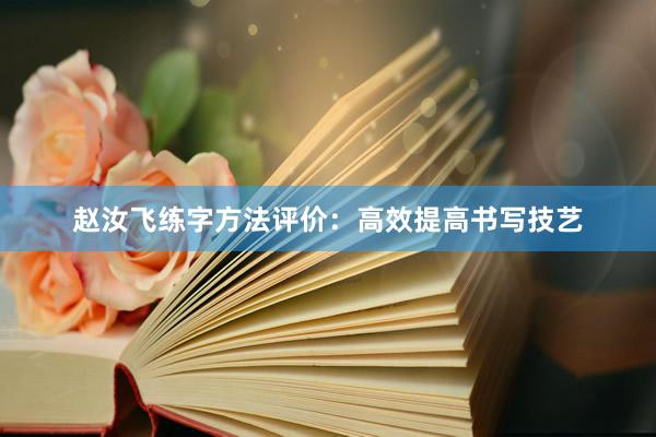 赵汝飞练字方法评价：高效提高书写技艺